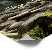 今日の私は賢い引用文自然風景 ポスター (角)