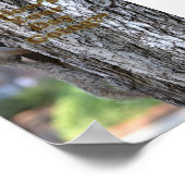 今日の調子は？ ポスター (角)