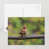 今日の調子は？ ポストカード (正面/裏面)