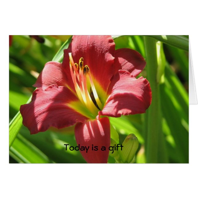 今日はギフトです (正面横)