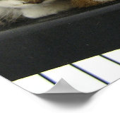 今日はシェルター猫を飼う ポスター (角)