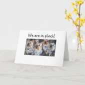 今日はショック40歳の誕生日だ カード (黄色い花)