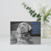 今日はネオ・パピーを抱きしめた？ ポストカード (スタンド正面)