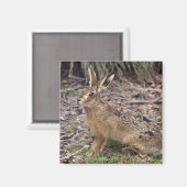 今日はノウサギ、明日はさようなら マグネット (正面/裏面)