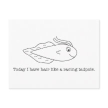 今日はレース用のタマガモのような髪をしている