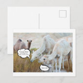 今日は何日か当てる ポストカード (正面/裏面)