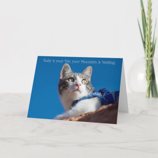 今日は君の日だ 案内状 (正面)