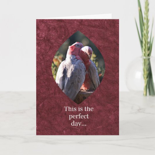 今日は好い日だ シーズンカード (正面)