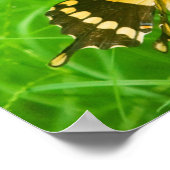 今日は悦びを選ぶ ポスター (角)