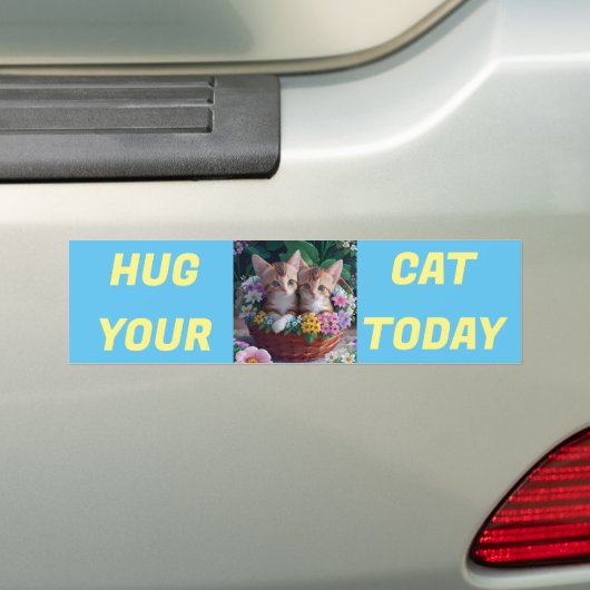今日は猫を抱きしめて バンパーステッカー (車上)