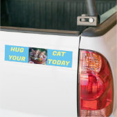 今日は猫を抱きしめて バンパーステッカー (トラック上)