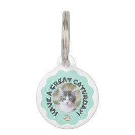 今日は素晴らし早くターコイズカスタム猫の写真 ペット　ネームタグ