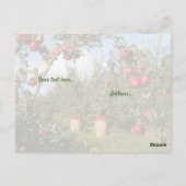 「今日は贈り物」　やる気を起こさせるキリスト教の詩 ポストカード (裏面)