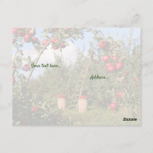 「今日は贈り物」　やる気を起こさせるキリスト教の詩 ポストカード (裏面)