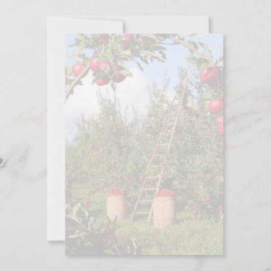 「今日は贈り物」キリストやる気を起こさせる教の詩 サンキューカード (裏面)