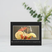 今日は非常に評価の高い日 ポストカード (スタンド正面)