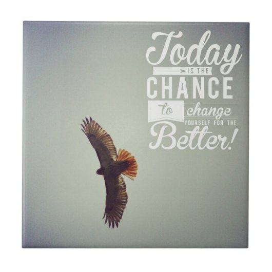 今日は鷹の方が良い タイル (正面)