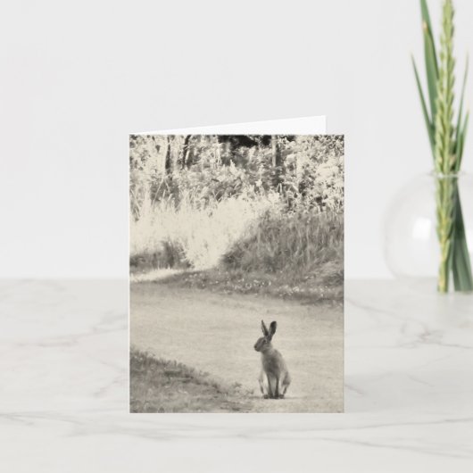今日ノウサギ カード (正面)