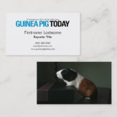 今日モルモットの名刺 名刺 (正面/裏面)