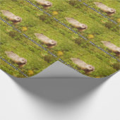 今日包装紙をgroundhogを抱き締めて下さい ラッピングペーパー (角)