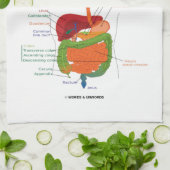 今日生存は内臓の消化系の多くを取ります キッチンタオル (折り畳み)