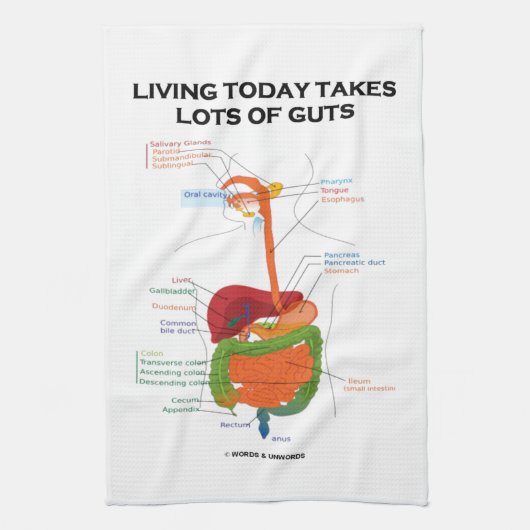 今日生存は内臓の消化系の多くを取ります キッチンタオル (縦)