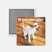 今日素晴らしに来いマグネット マグネット (正面/裏面)