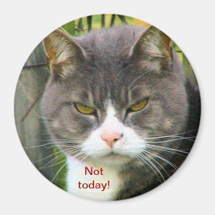 、"今日言っていないおもしろいな怒っているCAT! " マグネット