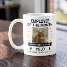 今月の優秀社員(猫)写真