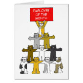 今月の猫たちの従業員 (正面)