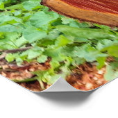 今私の注意を持っている – 子猫ポスター ポスター (角)