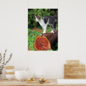 今私の注意を持っている – 子猫ポスター ポスター (キッチン)