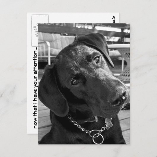 今私はあなたの注意を持っている… ポストカード (正面/裏面)