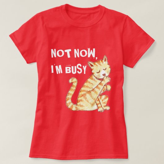 "今私は忙しい"おもしろいな猫の引用文です Tシャツ (デザイン正面)
