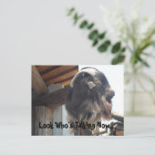 今誰が話してるのか… ポストカード (スタンド正面)