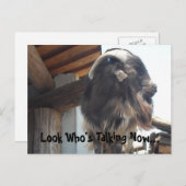 今誰が話してるのか… ポストカード (正面/裏面)