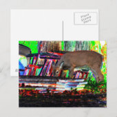 今集中している ポストカード (正面/裏面)