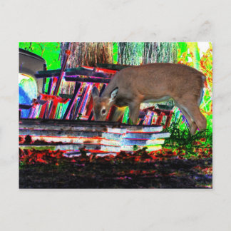 今集中している ポストカード