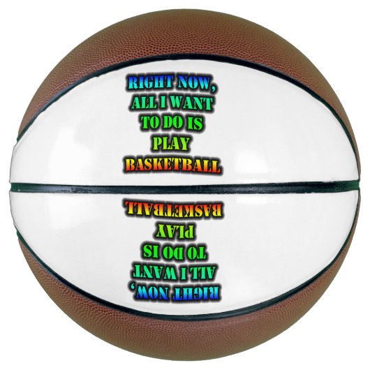 今、私がやりたいのはバスケットボールだ遊け バスケットボール (正面)