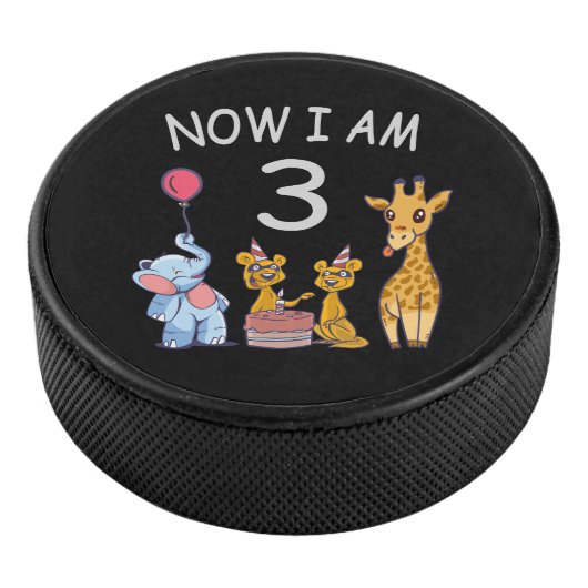 今、私は動物園で3歳の3歳の誕生日である アイスホッケーパック (3/4)