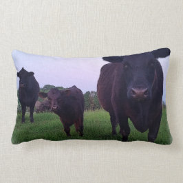 今Yup Kow! 牛枕 ランバークッション