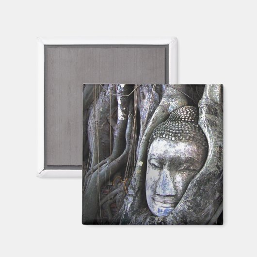 仏とツリー仏教タイ写真 マグネット (正面/裏面)