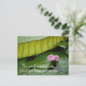 仏の引用文 ポストカード (スタンド正面)