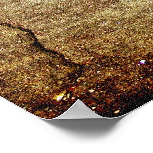 仏の目 ポスター (角)