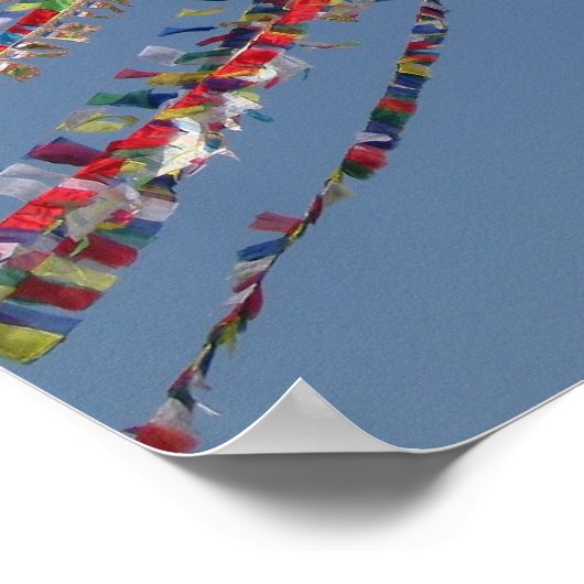 仏の目 ポスター (角)