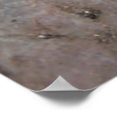 仏の足跡チベット ポスター (角)