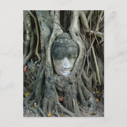 仏の頭部 ポストカード (正面)