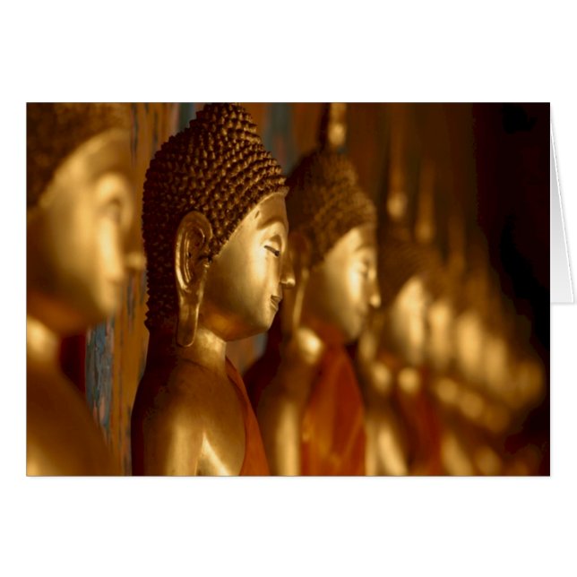 仏タイの平和静けさの平静 (正面横)