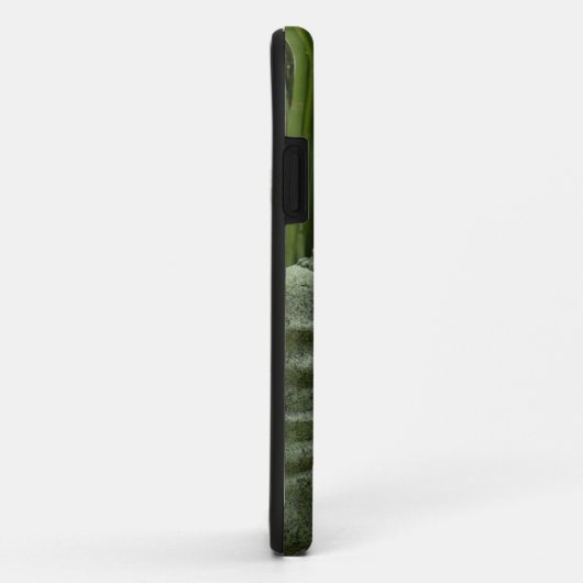 仏タケiPhone5の例 Case-Mate iPhoneケース (裏面/右)