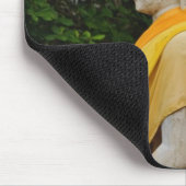 仏像の列、ワット夜井茶屋文具 マウスパッド (コーナー)